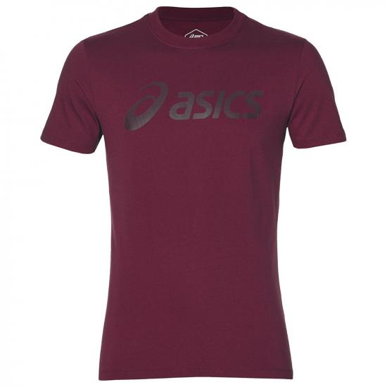 Футболка ASICS BIG LOGO TEE 2031A978 600 - купить в интернет магазине Acrobat24.ru 